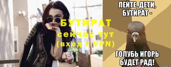 сатива Куйбышев
