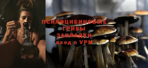 сатива Куйбышев