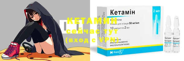 сатива Куйбышев