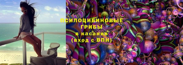 mdpv Лабытнанги