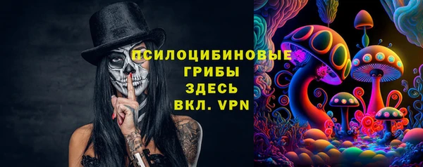 сатива Куйбышев